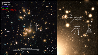 Abell 1689 globular clusters
